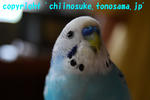 DSC_5212.jpg