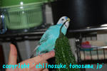 DSC_6122.jpg