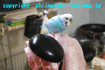 DSC_6091.jpg