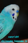DSC_6221.jpg