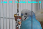 DSC_6263.jpg
