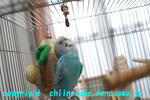 DSC_6621.jpg