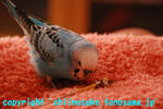 DSC_6671.jpg