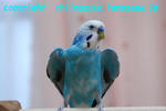 DSC_6695.jpg