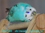 DSC_6710.jpg