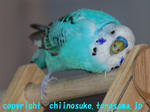 DSC_6713.jpg