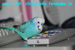 DSC_6737.jpg
