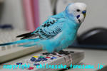 DSC_6756.jpg