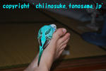 DSC_6717.jpg