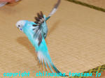DSC_7253.jpg