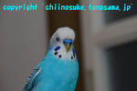 DSC_7359.jpg