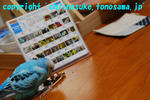 DSC_8143.jpg