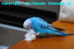 DSC_8123.jpg
