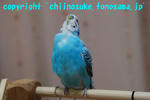 DSC_8162.jpg