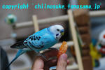 DSC_8195.jpg