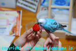 DSC_8388.jpg