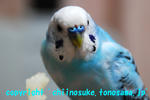 DSC_8298.jpg