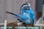 DSC_8620.jpg