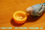 DSC_9117.jpg