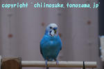 DSC_9126.jpg