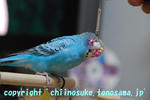 DSC_9265.jpg