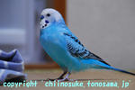 DSC_9735.jpg