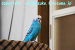DSC_9982.jpg