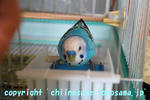 DSC_9311.jpg