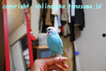 DSC_9742.jpg