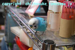 DSC_9765.jpg