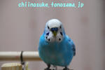DSC_0084.jpg