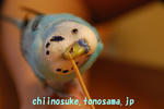 DSC_0636.jpg