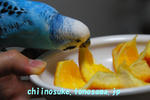 DSC_0845.jpg