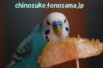 DSC_1163.jpg