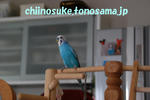 DSC_1383.jpg