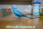 DSC_1714.jpg