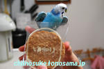 DSC_1675.jpg