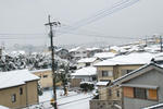 DSC_225001.JPG