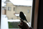 DSC_225201.JPG