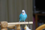 DSC_231205.JPG