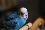 DSC_234002.JPG