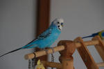 DSC_255904.JPG