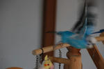 DSC_256205.JPG