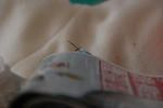 DSC_257607.JPG