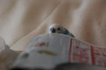 DSC_257809.JPG