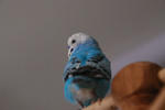DSC_258812.JPG