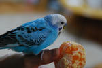 DSC_266601.JPG
