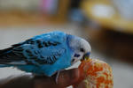 DSC_266702.JPG