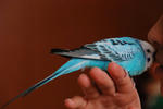DSC_269102.JPG