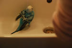 DSC_277102.JPG